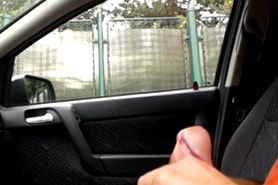 Flashing dick in car