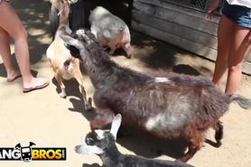 Bangbros - Sexy Pornstars Invade Famous Zoo & Screw Zookeeper