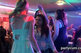 Nasty chicks get absolutely silly and naked at hardcore party