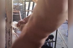 Greek hung daddy pounds fleshlight outdoors