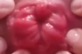 wet pink anus outside
