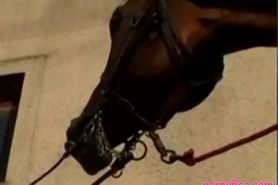 Kinky blonde gets so horny from this horse dick