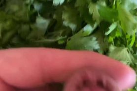 Hot mastrubation near fresh parsley at granny's house