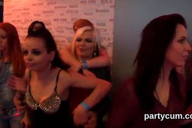 Foxy girls get totally wild and undressed at hardcore party