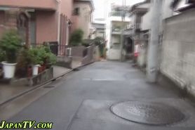 Japanese hos hide and pee