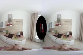Kitchen Paws VR