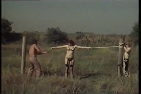 Sex in Field   70s