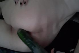 Femboy pleasures herself with a cucumber till gaping