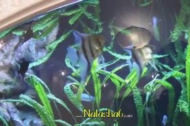 sexy naked brunett on aquarium