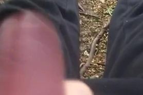 Wanking my cock in the forest