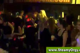 Girls party hard with male strippers