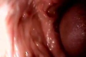 A camera placed in horny girls vagina recorded dick while it was ejaculatin