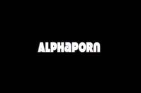 Message from AlphaPorn!