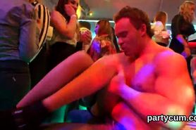 Nasty nymphos get absolutely silly and nude at hardcore party