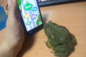 HOW to PISS Off a FROG!