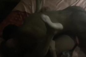 Petite Wife Having Sex With A Black Stallion - Cuckold