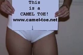 Cameltoe video