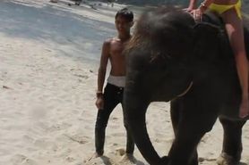 Topless Girl at Beach Molested by Elephant