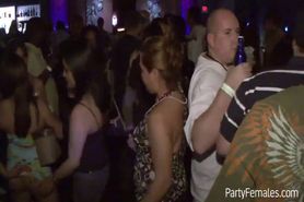 These Party Bunnies Show Their Tits In Live Action
