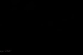 JSMNE