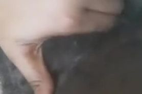 Amateur Hairy Pussy