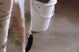 ???????????
