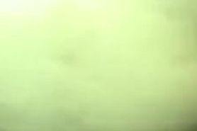 ??????? ????? ????????