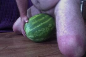 Bear slave fucking a watermelon with a tiny dick- Hilarious! Beartrainerxtreme