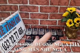 THUOC CUONG DUONG NGUA THAI- SUC MANH NGUA HOANG