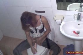 Asian Shemale Adele Dildoing In Bathroom