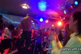 Nasty kittens get totally silly and nude at hardcore party