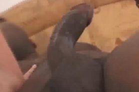 Hairy Pussy Banged By A Big Black Dick