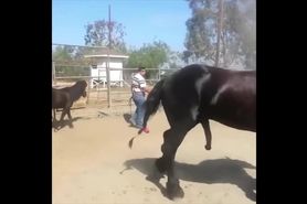 animal like donkey and horse sex videos clip with humans how shame that is to uss