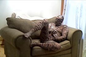 horny hard tiger jerks off while lying in a large chair