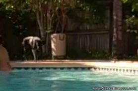 Amateur Couple Screw In The Pool In Sunny Florida