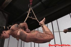 Black skank humiliated while hanging on rope