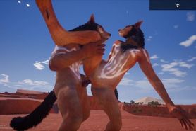 Wild Life Desert Fox Fun / Furry Porn