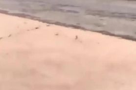 ??????????????????????????????????????