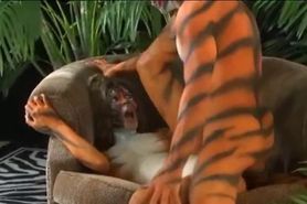 Two extreme tigers having sex