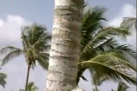 Henriette Blond - Cum with her under the palmtrees