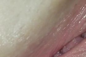 Close Up Pink Pussy