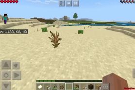 Minecraft with addons part1