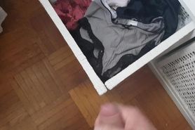 Cum in sis panties drawer - she is not at home