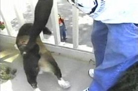 Jessica-Black cheerleader bang