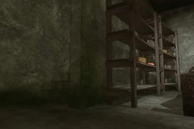 3D-teen Fuck! - Chika and Cheer (Nekoken)