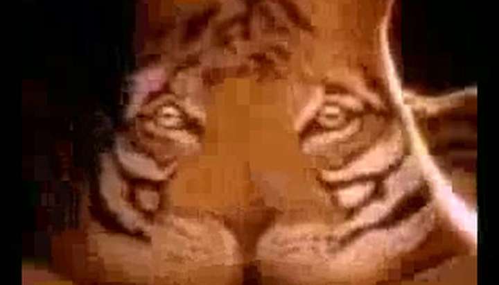 Tiger Porn - FUNNY PORN - How To Feed A Tiger - Tnaflix.com