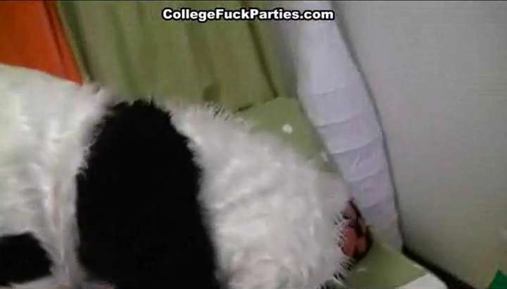 Dancing Dog Porn - COLLEGE FUCK PARTIES - Naked dancing and wild group party sex TNAFlix Porn  Videos