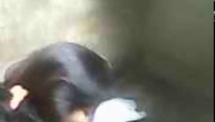 Amjad Sex Hd - Pakistani Amjad fucked Najma Noreen sexchat fucked girl webcam arab webcam  - Tnaflix.com