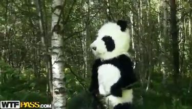 Panda Porn Movie