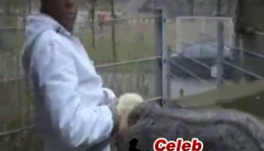Granny Blowjob